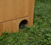 nowato Handwaschbecken 2020 - Detail Fusspumpe