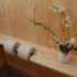 Detail Bio-Toilette WIESE – Ablagebrett und Toilettenpapierspender