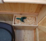 Einstreukiste aus Holz, Toilette Modell WIESE