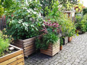 Gartenfrosch - Pflanzkübel in Einfahrt