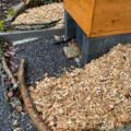 Komposttoilette WALD Biolan vertieft – Hausten – Detail Zugang für die Wartung hinter der Toilette