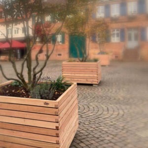 Pflanzkasten aus dem Holz der heimischen Lärche - von Gartenfrosch