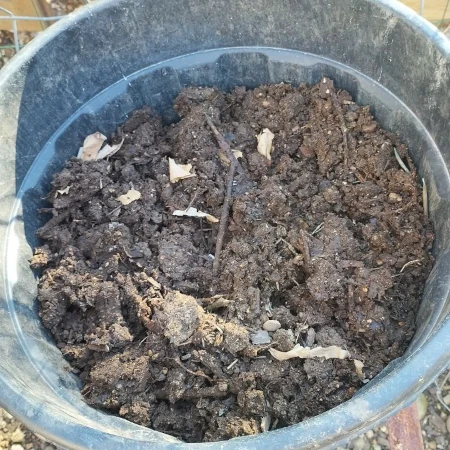 Reifer Kompost als Schicht in einem Biofilter / Bioreaktor für Nitrifizierung von Urin