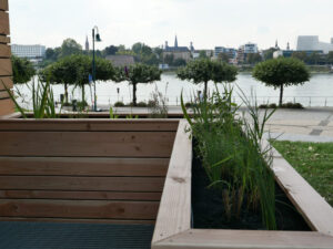 Geplanzte Filter für das Grauwasser aus dem Handwaschbecken - Toilettenanlage MODO, Bonn