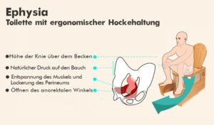 Physiologische Toilette Ephysia - Trockentoilette für Zuhause