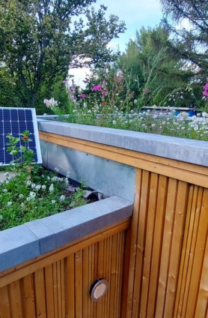 KUBUS "Toilette für alle" - Ansicht Dach mit Begrünung und Solarpaneel