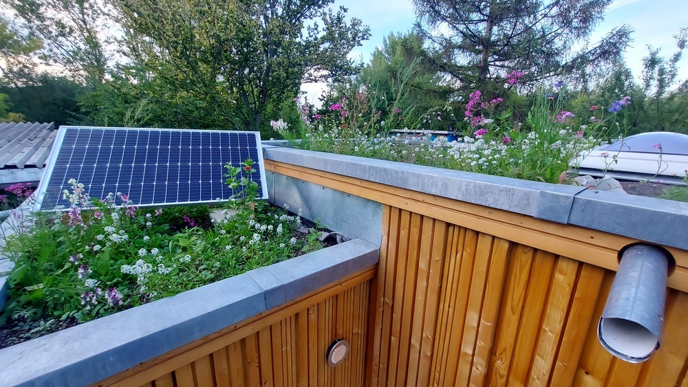 KUBUS "Toilette für alle" - Ansicht Dach mit Begrünung und Solarpaneel